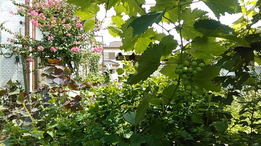 ホテル 東松戸ホーム 成田apダイレクト 松戸市 エクステリア 写真